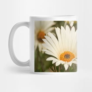 gli daisy Mug